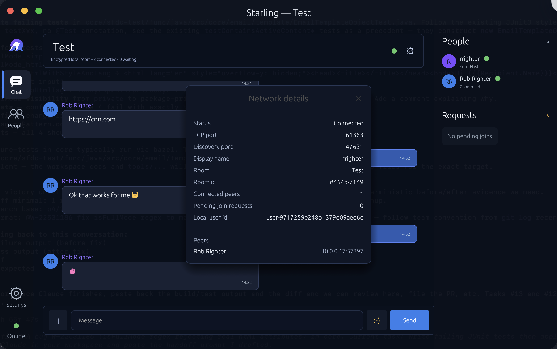 Network details modal showing TCP port, discovery port, room id, connected peers